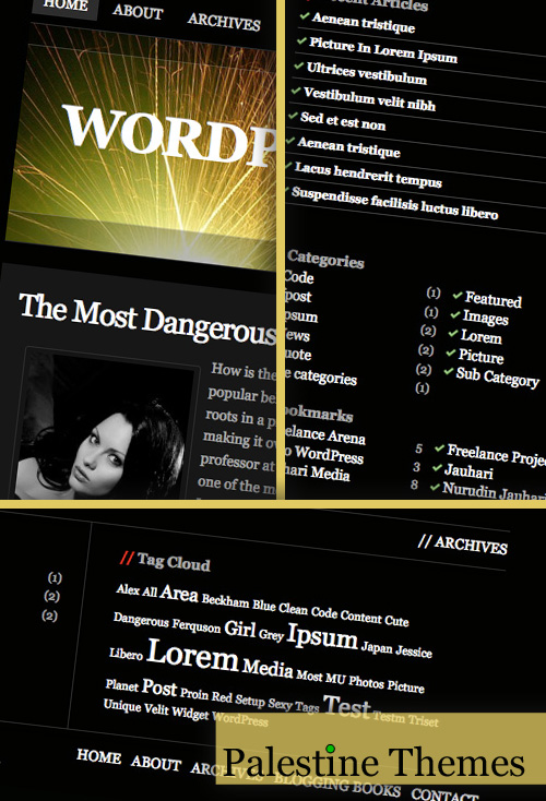 Palestine wordpress theme