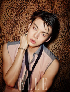 Foto Ahn Jae Hyun di ELLE