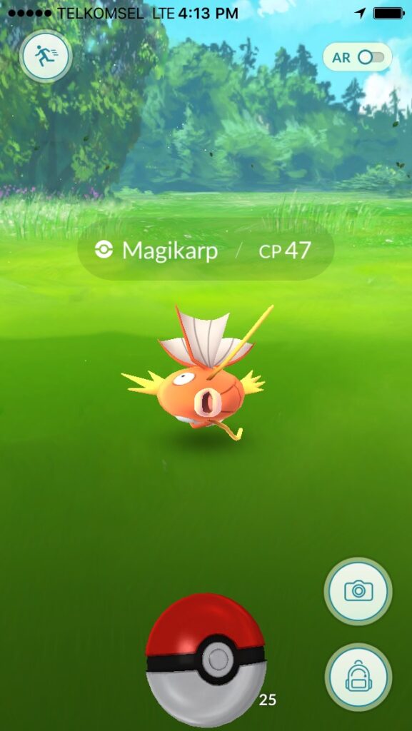 PokÃ©mon GO Catch Them All