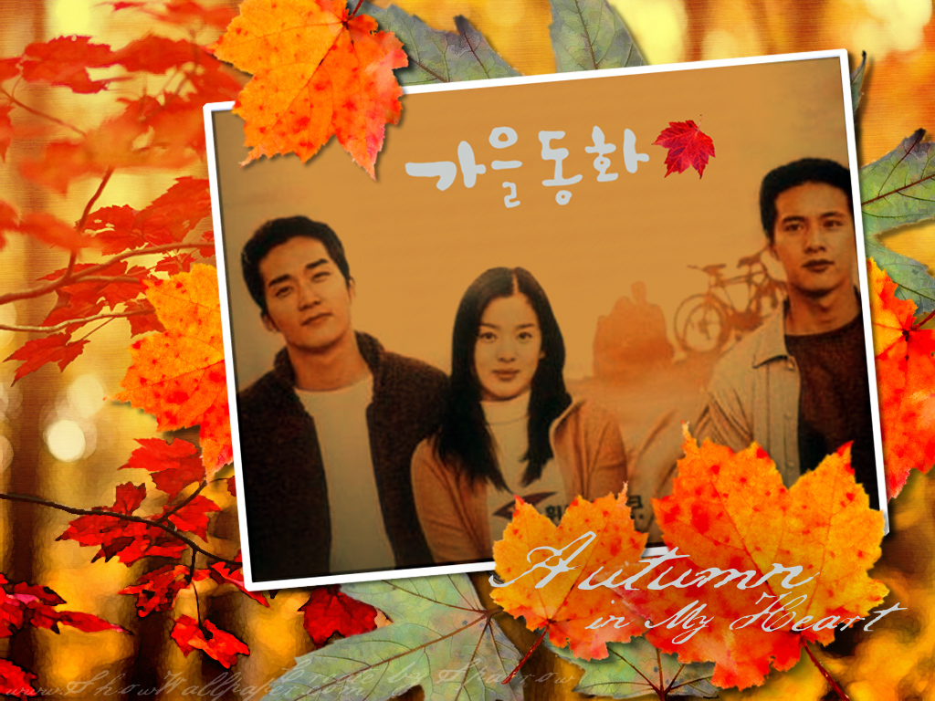 song hye kyo 12