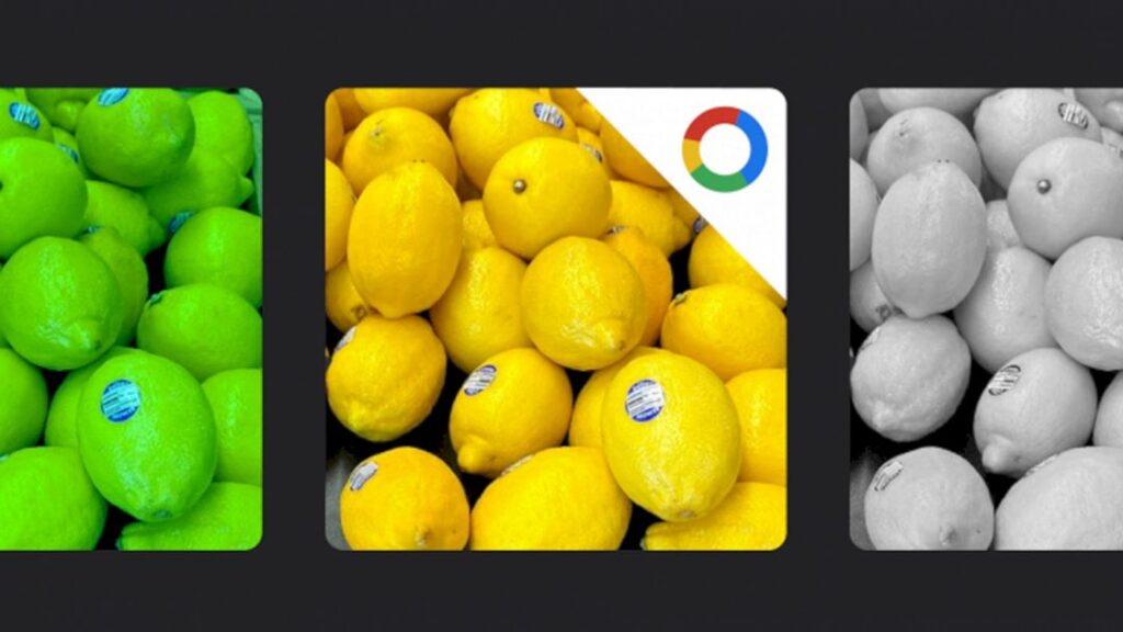 Google Foto Punya Fitur Pengeditan