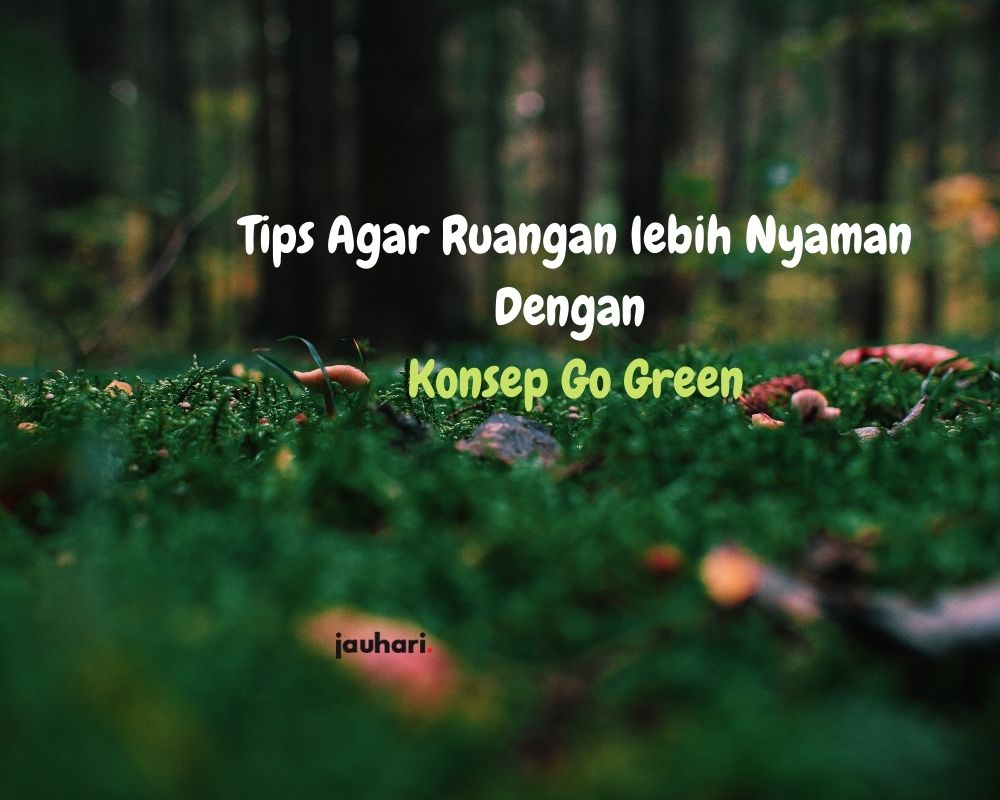 Tips Agar Ruangan Lebih Nyaman Dengan Konsep Go Green (1)