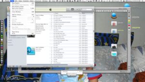 iTunes 10 - Display Duplicate