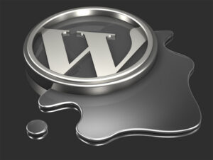 wp script code