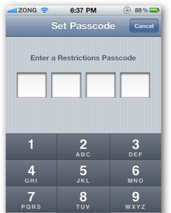 Set Passcode