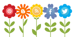 optimize social media content
