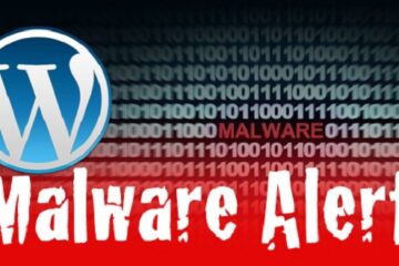 Malware SoakSoak, Wordpress, Plug-in