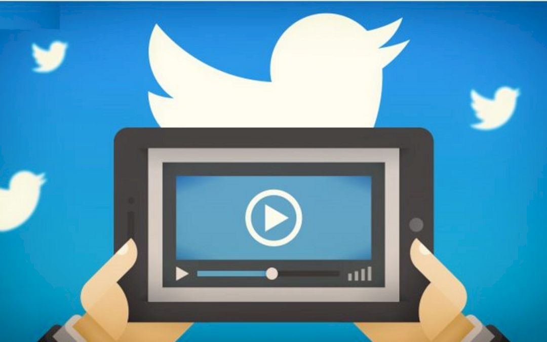Cara Mudah Download Video Di Twitter