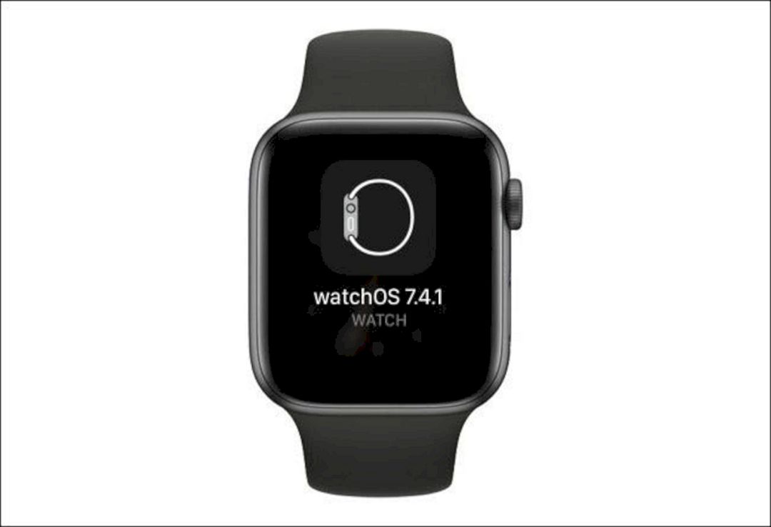 Cara Mudah Memeriksa Pembaruan Apple Watch