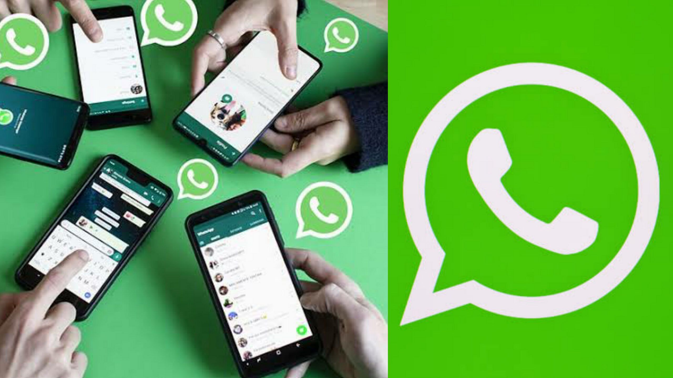 Fitur WhatsApp Yang Jarang Pengguna Gunakan