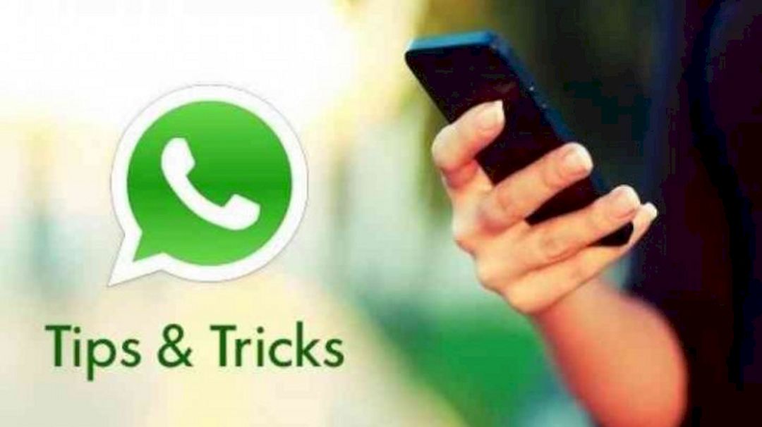 Cara Mudah Menghilangkan Status Online dan Sedang Mengetik di WhatsApp