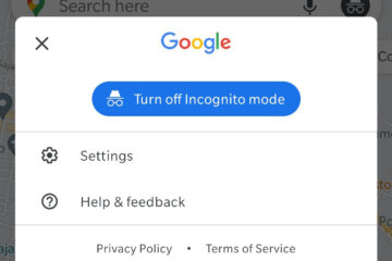 Mode Incognito Google Maps