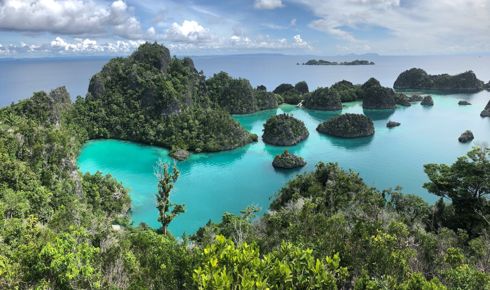 Menemukan Kekayaan Indonesia: 10 Tempat Wisata yang Wajib Dikunjungi 3 raja ampat indonesie