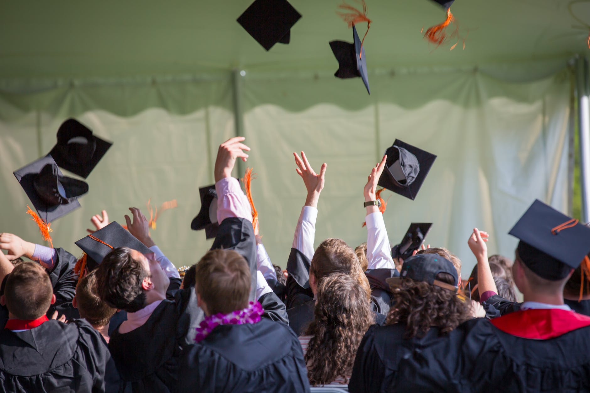 Apa Itu Jurusan Manajemen? Panduan Lengkap untuk Generasi Z 4 photography of people graduating